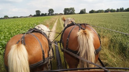 Journées Fermes Ouvertes 2014