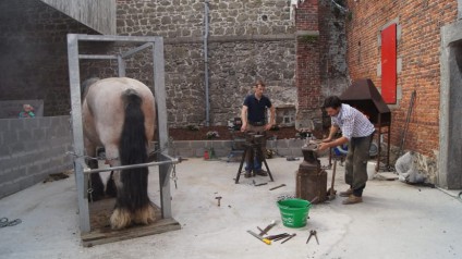 Journées Fermes Ouvertes 2014