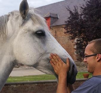 Pension pour cheval