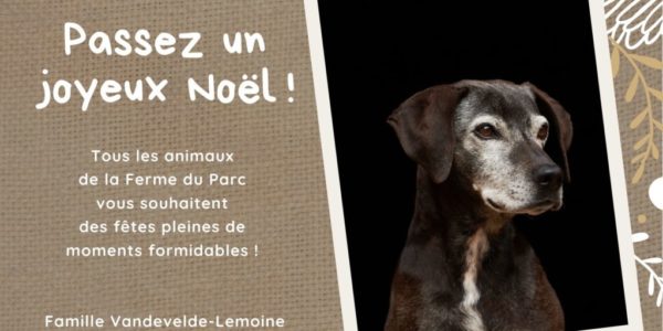 Joyeux Noël