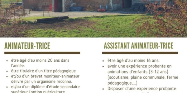 ‼️ OFFRE : JOB ETUDIANT ‼️