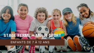 ETE 1 multisport