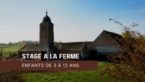 Stage ferme 3 à 12 ans