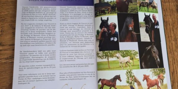 Un bel hommage à Vincent dans l’annuaire 2024 du Stud-book du Cheval Arabe